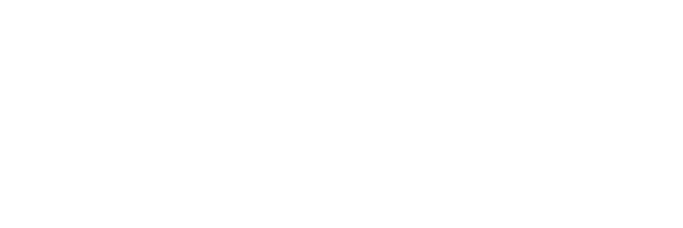 Ainex Services